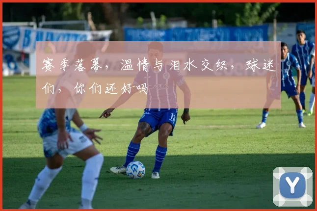 赛季落幕,温情与泪水交织,球迷们,你们还好吗